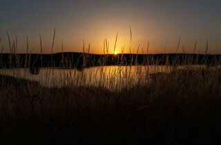 Urlaub im Oderbruch | Ferienwohnungen in Altlewin und Gusow-Platkow