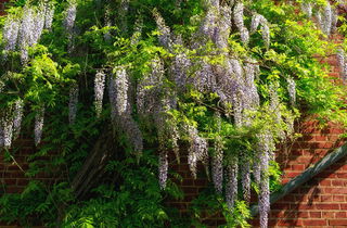 Urlaub im Oderbruch | Ferienwohnungen in Altlewin und Gusow-Platkow | Impressionen