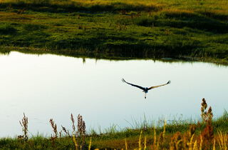 Urlaub im Oderbruch | Ferienwohnungen in Altlewin und Gusow-Platkow | Impressionen