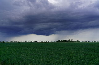 Urlaub im Oderbruch | Ferienwohnungen in Altlewin und Gusow-Platkow