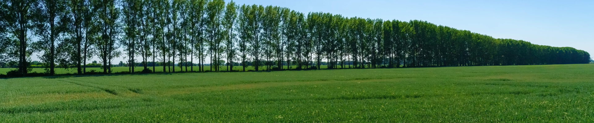 Oderbruch_Landstraße–copyright–shuttertim82