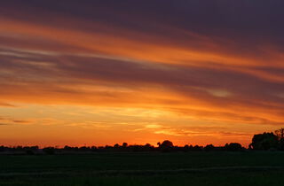 Urlaub im Oderbruch | Ferienwohnungen in Altlewin und Gusow-Platkow | Impressionen