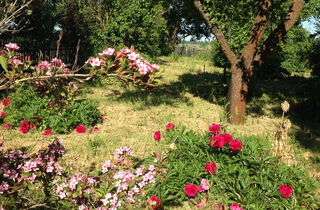 Urlaub im Oderbruch | Ferienwohnungen in Altlewin und Gusow-Platkow | Impressionen